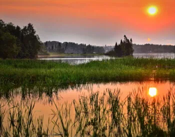 Прогноз кльову риби в Україні на тиждень