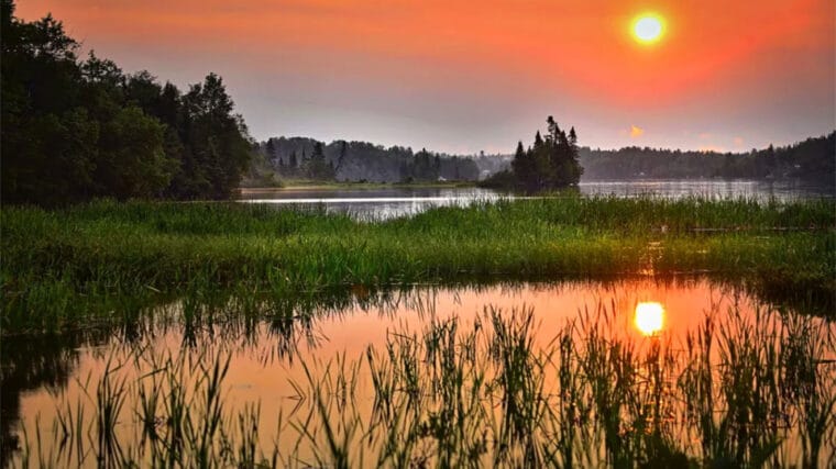 Прогноз кльову риби в Україні на тиждень