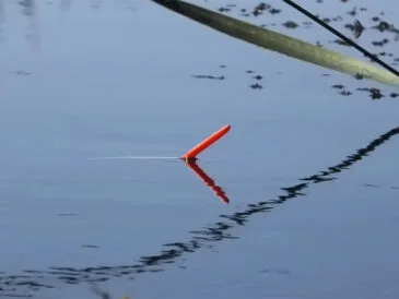 Прогноз клювання риби в Україні антициклон