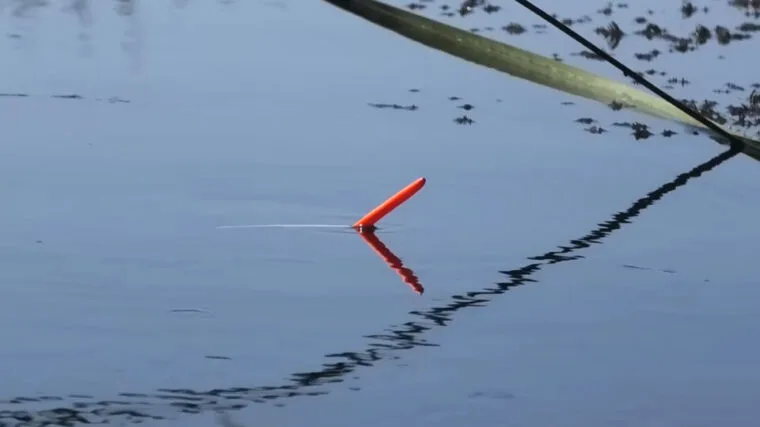 Прогноз клювання риби в Україні антициклон