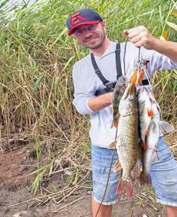 Рибалка розкрив секрет ловлі судака та щуки в каламутній воді