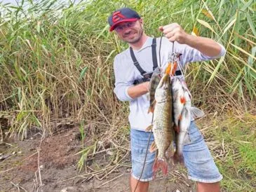 Рибалка розкрив секрет ловлі судака та щуки в каламутній воді