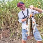 В Черном море запретили вылов кефали во время нереста