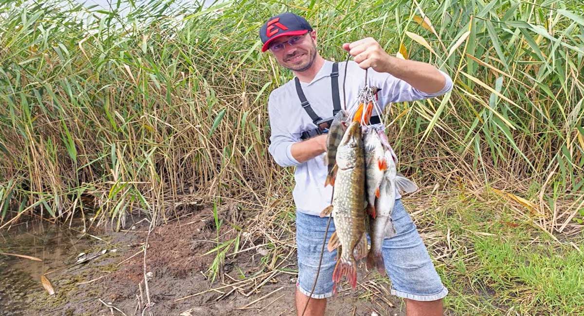 Ранний выход судака и щуки