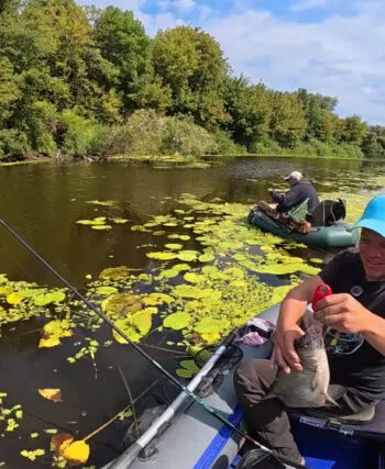 Рибалка зловив мішок ляща за 3 години на поплавкову вудку