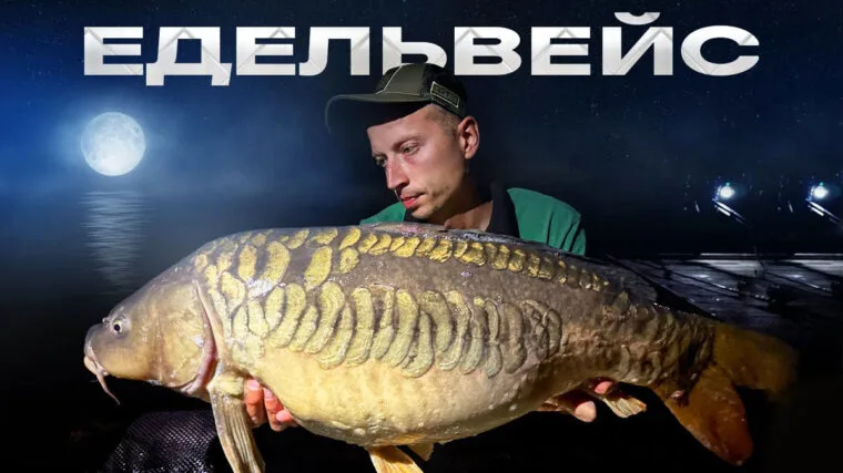 Сім'я рибалок спіймала 120 кг риби на озері Едельвейс