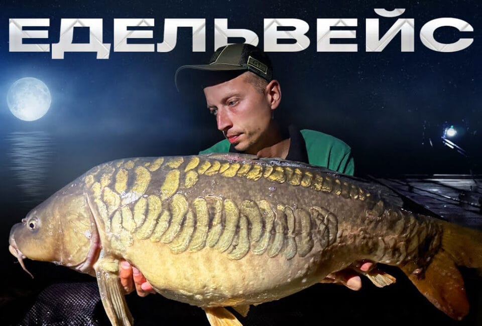 Сім'я рибалок спіймала 120 кг риби на озері Едельвейс