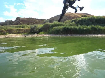 Риболовля на лимані: як зловити 60 коропів за день