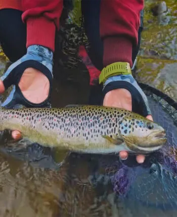 Риболовля в Карпатах 2025: де ловити, а де загрожує штраф