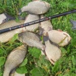 Досить годувати магазин! 3 дідівські рецепти тіста для риболовлі, що працюють