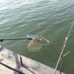 Прогноз клева рыбы 4 — 10 августа 2025 в Украине: погода, фазы луны, рекомендации