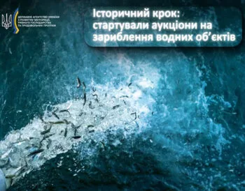 В Україні стартували аукціони на зариблення водойм