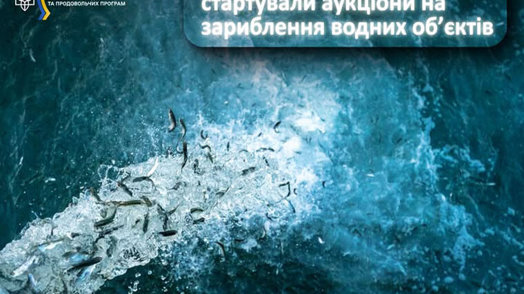 В Україні стартували аукціони на зариблення водойм