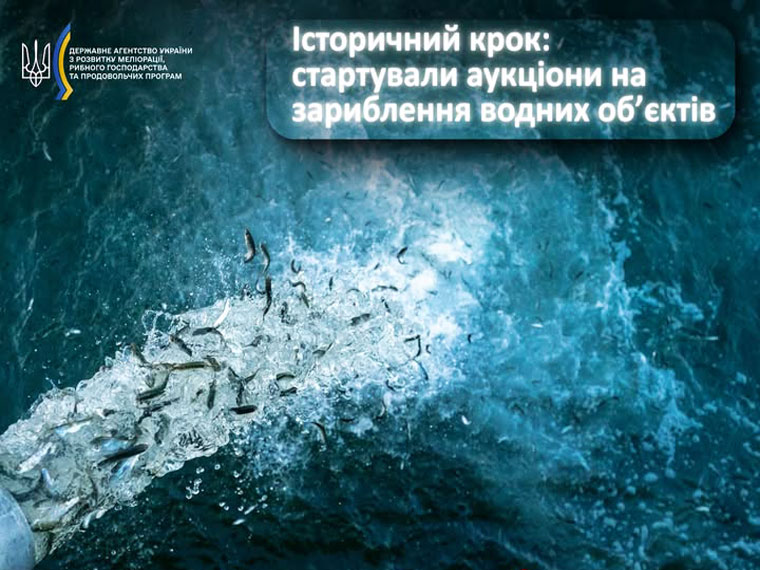 В Украине стартовали аукционы на зарыбление водоемов