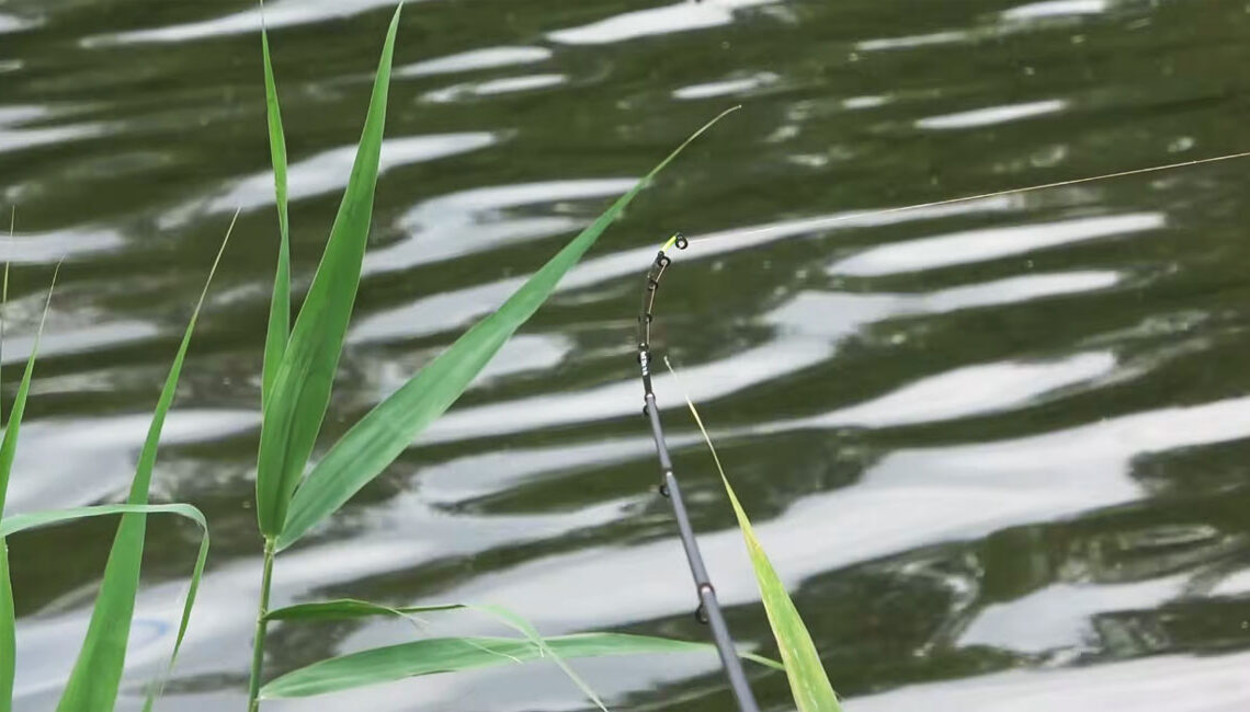 Фідер у вересні: експерт показав лайфхак з насадкою