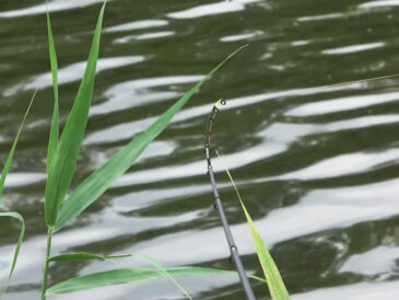 Фидер в сентябре: эксперт показал лайфхак с насадкой