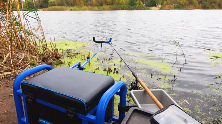 Главная ошибка рыбака осенью: эксперт дал совет