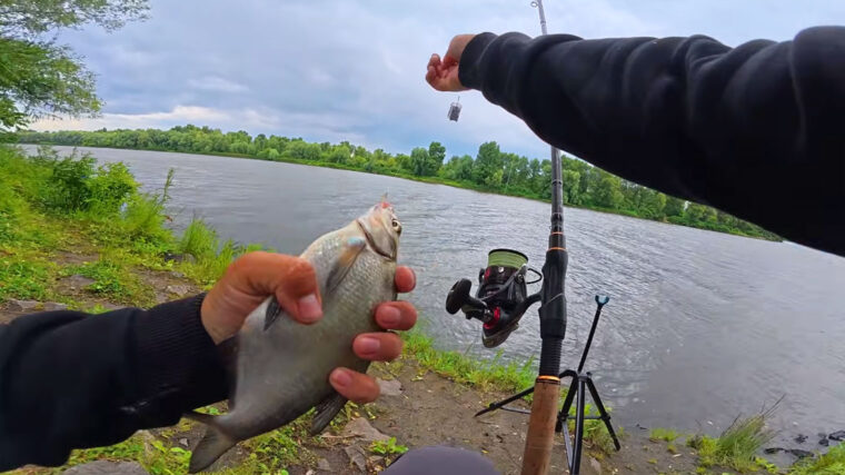Эксперт назвал главные места для рыбалки на Десне