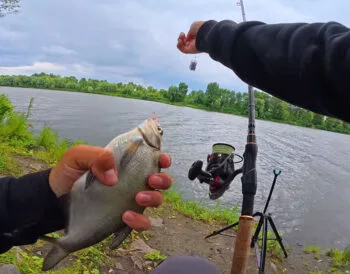 Експерт назвав головні місця для риболовлі на Десні