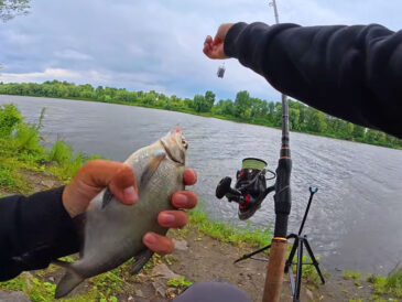 Експерт назвав головні місця для риболовлі на Десні у 2025 році