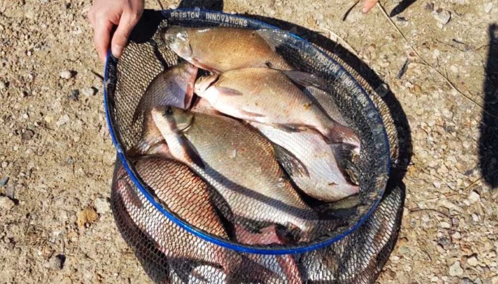 Хитрощі на риболовлі від експерта