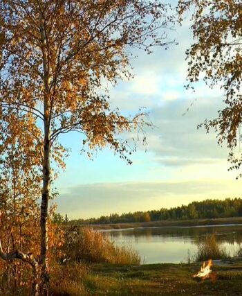 Календар рибалки на жовтень: де і коли клює
