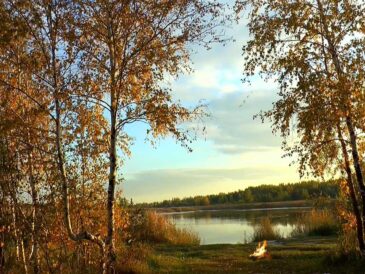 Календар рибалки на жовтень: де і коли клює