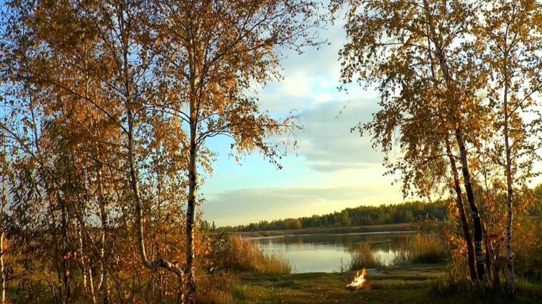 Календар рибалки на жовтень: де і коли клює