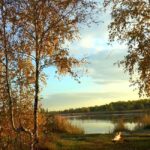 В Киеве зафиксирован рекордный улов: гигантский сом весом 24 кг