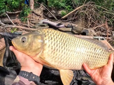 Рыбаки попали в шторм на Днепре во время ловли сазанов