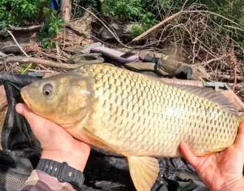 Рибалки потрапили в шторм на Дніпрі під час лову сазана