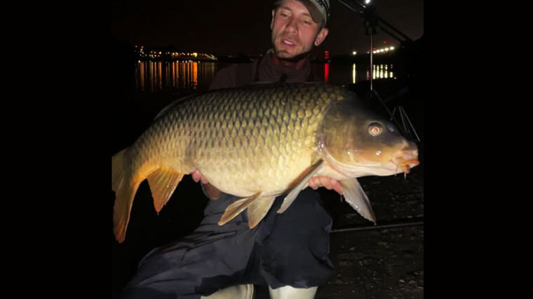 На Дунае пойман трофейный карп весом 14 кг
