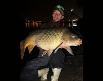 На Дунаї спіймано трофейного коропа