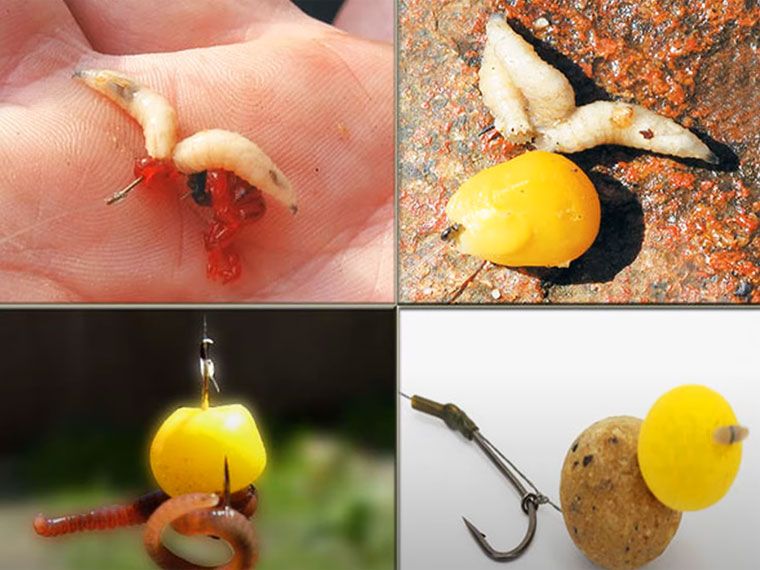 Насадки на ляща у вересні