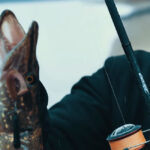 Рыбаки назвали места для осенней ловли в Житомирской области