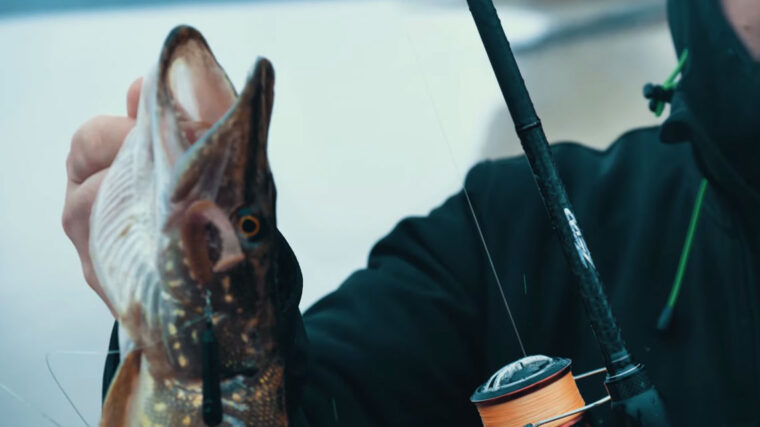 Несподіваний улов щуки: простий лайфхак із повідцем