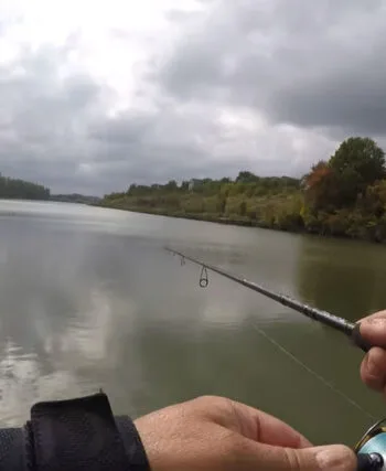 Експерт назвав особливості осінньої ловлі хижака на Київщині