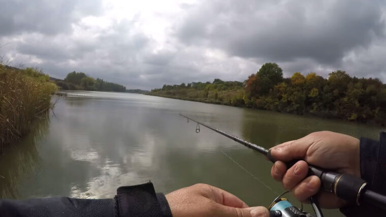 Експерт назвав особливості осінньої ловлі хижака на Київщині