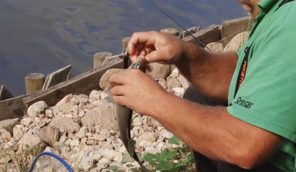 Прогноз клева рыбы в Украине на неделю: 1 – 7 сентября 2025