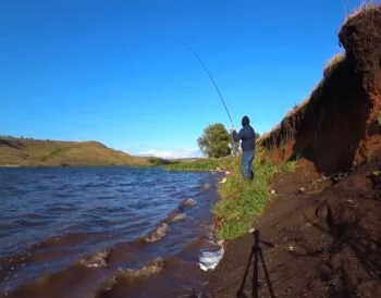 Прогноз кльову риби в Україні на тиждень вересень