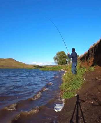 Прогноз кльову риби в Україні на тиждень вересень