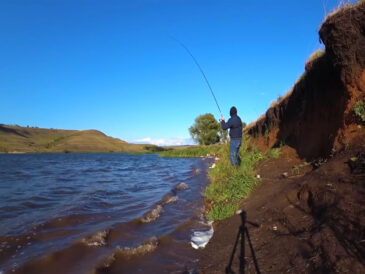 Прогноз кльову риби в Україні на тиждень вересень