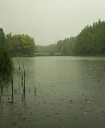 Прогноз клювання на 29.09-5.10: погода випробує рибалок України