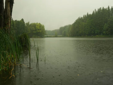 Прогноз клювання на 29.09-5.10: погода випробує рибалок України