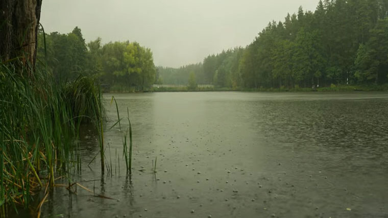 Прогноз клювання на 29.09-5.10: погода випробує рибалок України