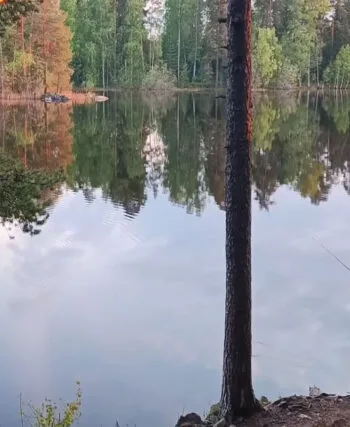 Прогноз клювання риби в Україні: від дощів до осіннього жору