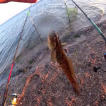 Зібрався на річку зі швидкою течією – використовуй плетінку, а не жилку