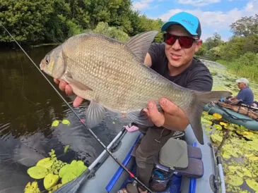 Рибалка вполював трофейного ляща на боковий кивок на річці