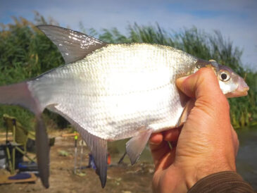 Рибальські лайфхаки для осені - ТОП-5 секретів від практика
