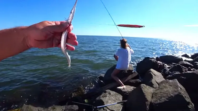 Чотири види риб за день риболовлі у Чорному морі